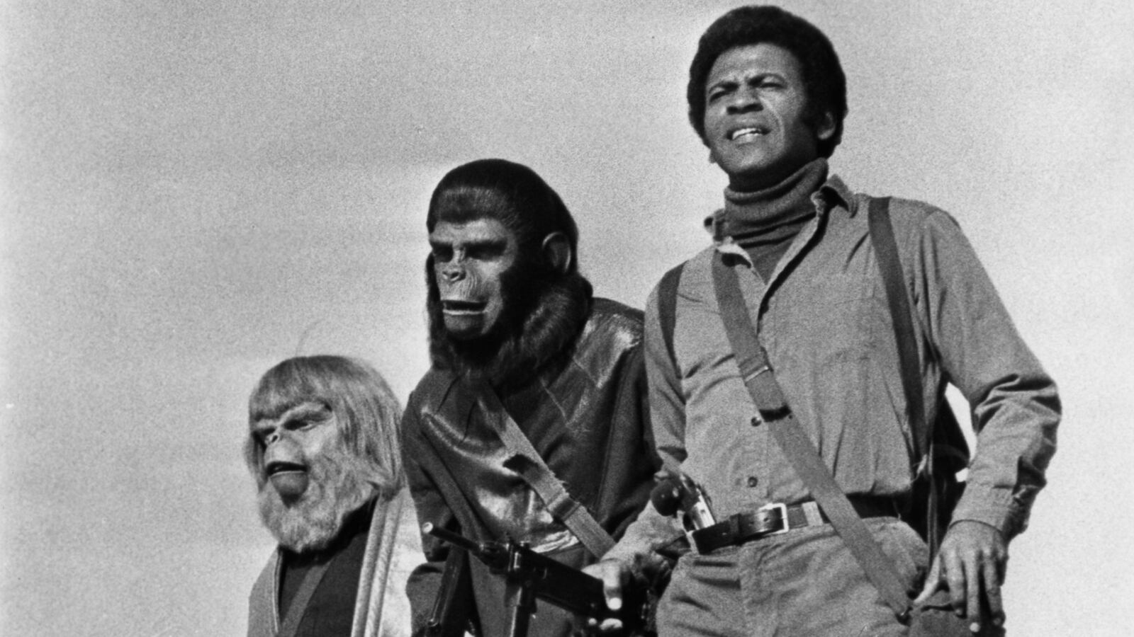 GettyImages-102177124_jwaki5