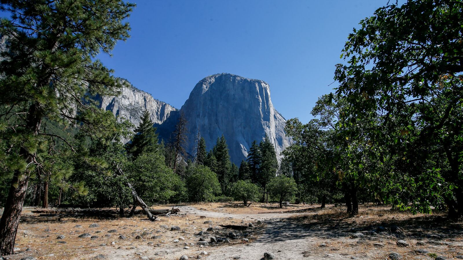 GettyImages-1242378666_ymy0jc