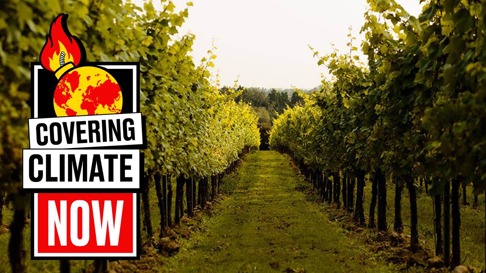 190917-HF-Gusbourne-tease2_es5qm6