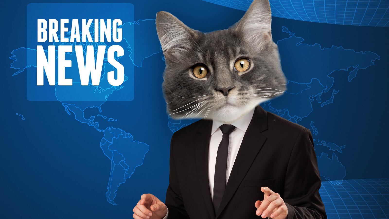 articles/2016/12/06/these-brave-souls-complained-about-pussygate-to-the-fcc/161205-ryan-pussygate-complaints-tease_ilxerb