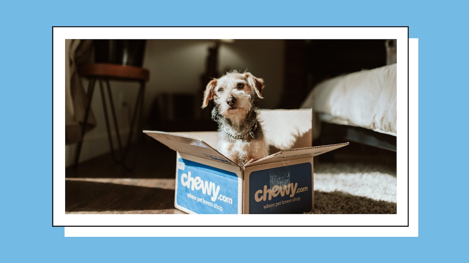 Chewy-Blue-Box-Sale-Event_txswub