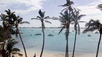 cheats/2011/01/11/was-bloomberg-in-bermuda-during-blizzard/bloomberg-bermuda_o8bdam