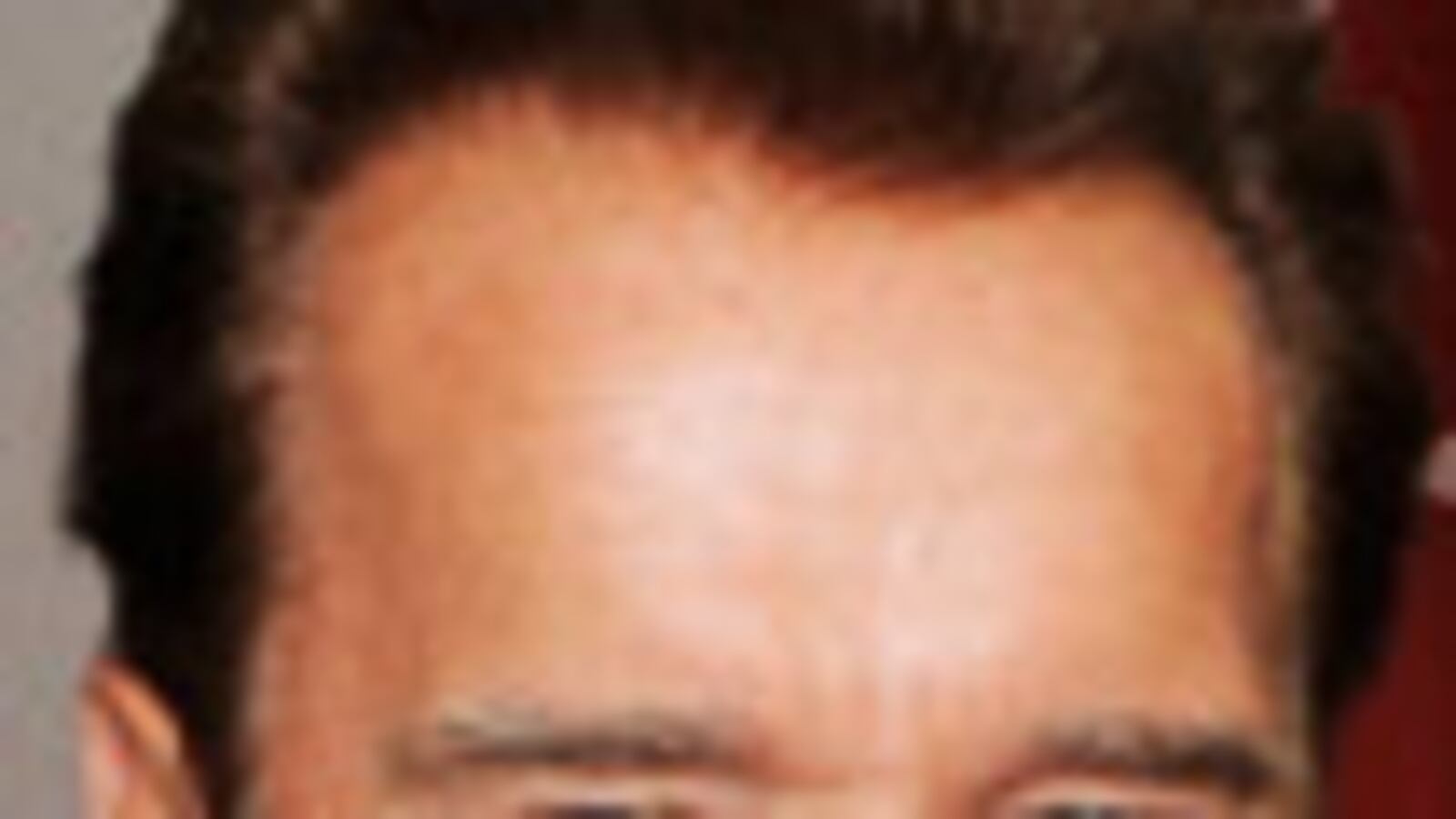 cheats/2011/05/19/arnold-puts-film-career-on-hold/arnold-schwarzenegger-1_pw9yln