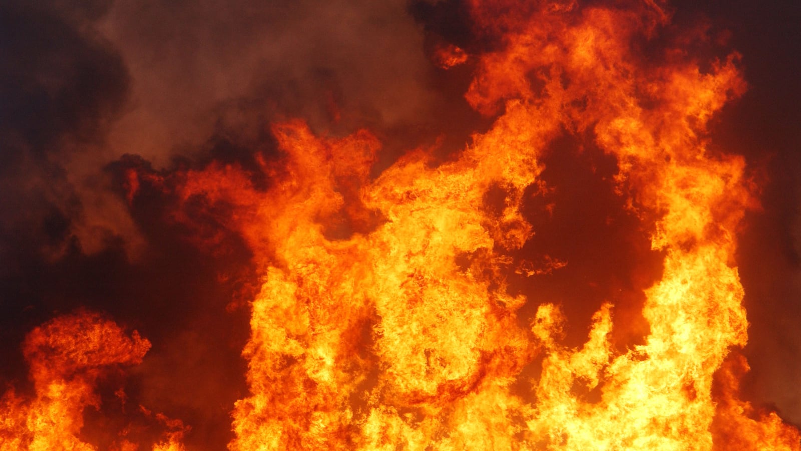 GettyImages-795143_tww3ne