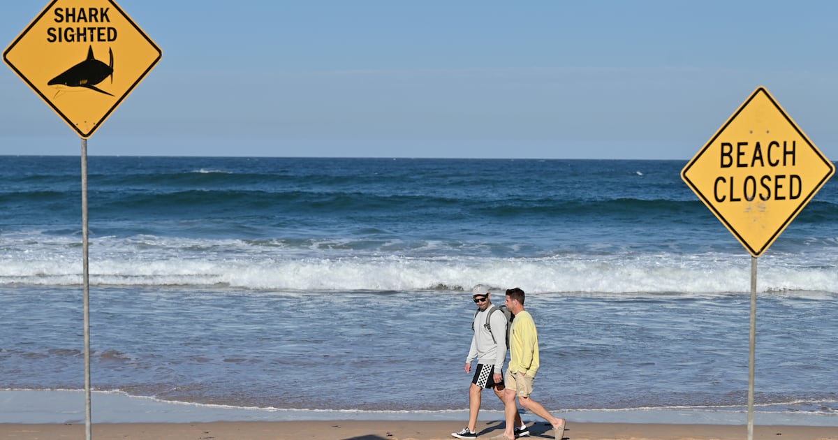 Boy, 12, Fighting for Life After Being Mauled by Shark at Tourist Hotspot