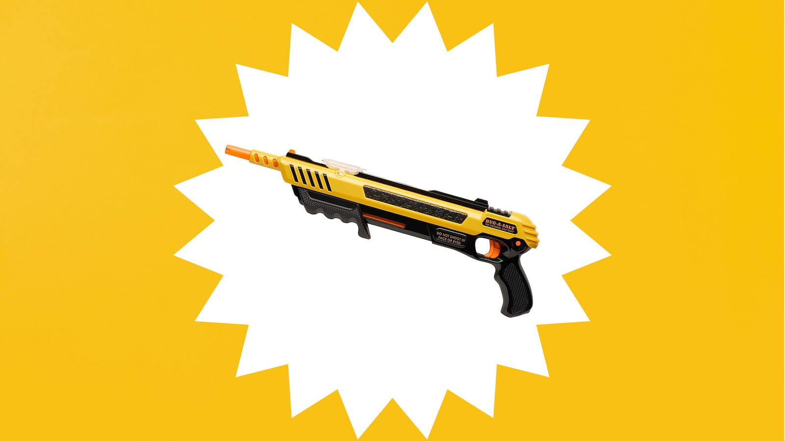 Bug-a-salt fly gun review 2023