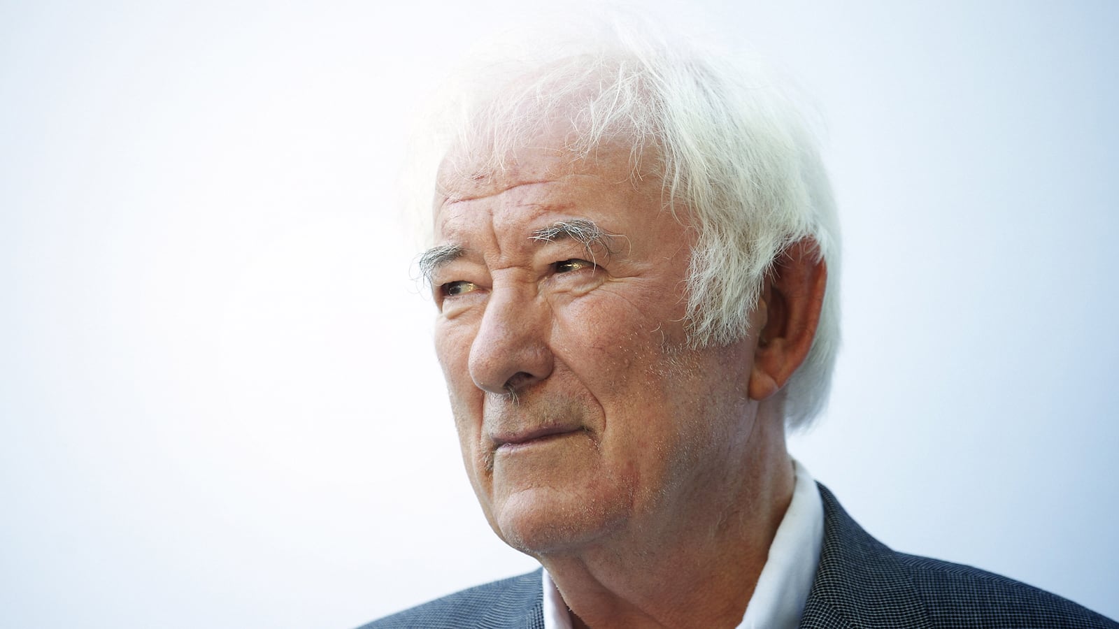 articles/2013/08/30/colum-mccann-seamus-heaney-brought-us-together/130830-mccann-seamus-heaney-tease-embed_pposse