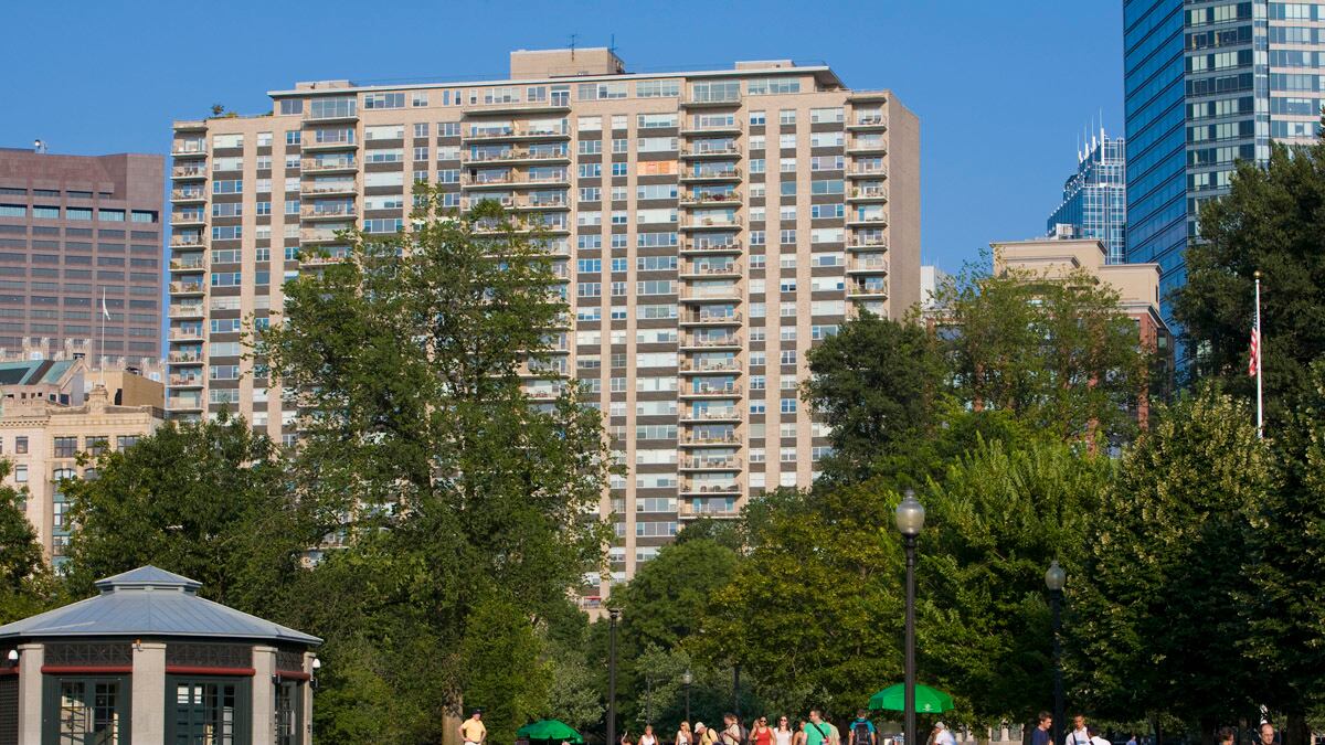 cheats/2012/03/22/cat-survives-skyscraper-fall/cat-survives-fall-cheat_shkb70