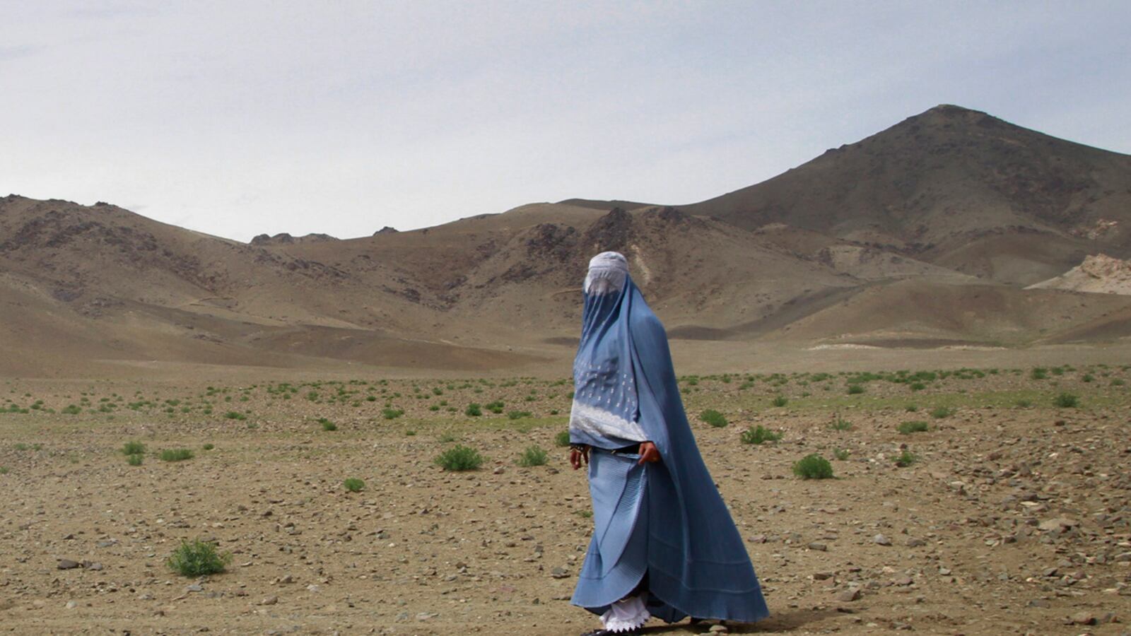 cheats/2011/12/02/afghan-pressured-to-marry-rapist/afghanistan-rape-victim-pressured-to-marry-rapist-cheat_ggjfcx