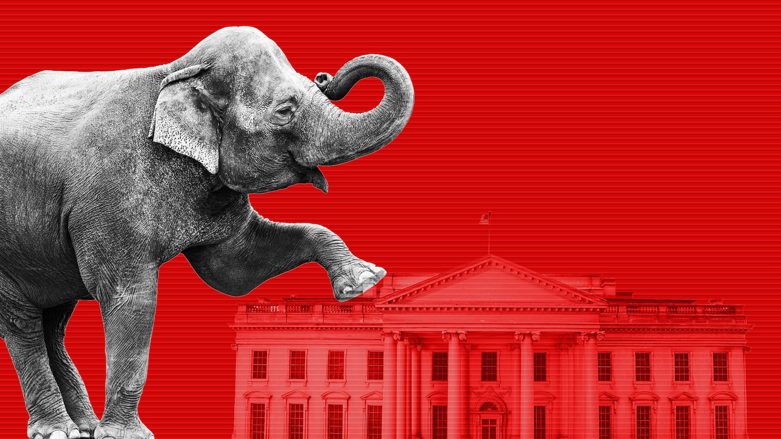 191222-tomasky-crazy-tease_g2rv0e