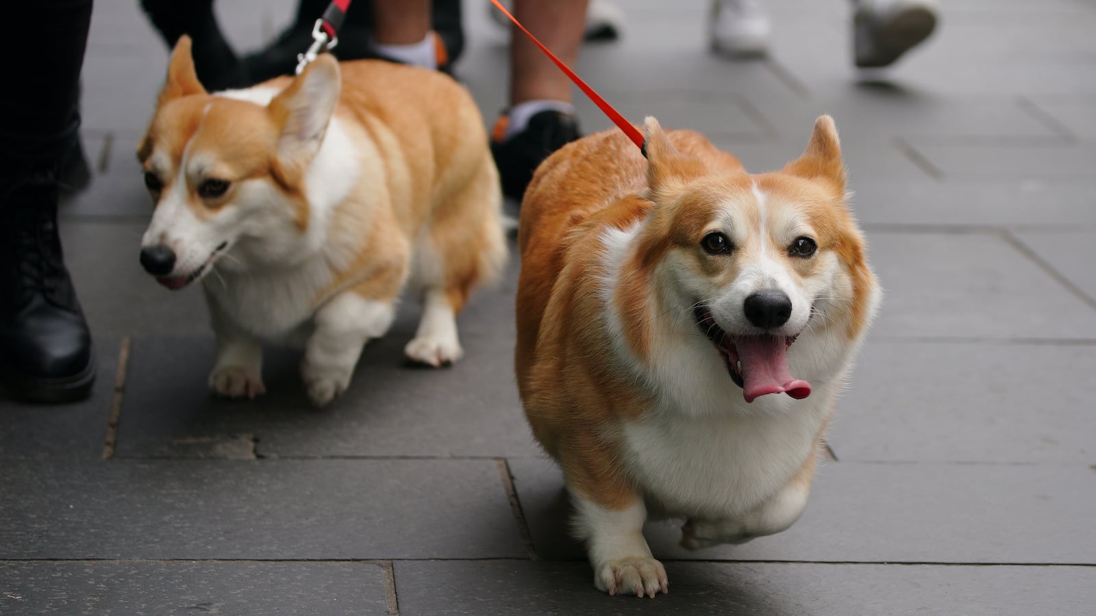 GettyImages-1243131283_veuytr