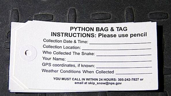 articles/2013/02/07/only-in-florida/only-in-florida-image_lqdint