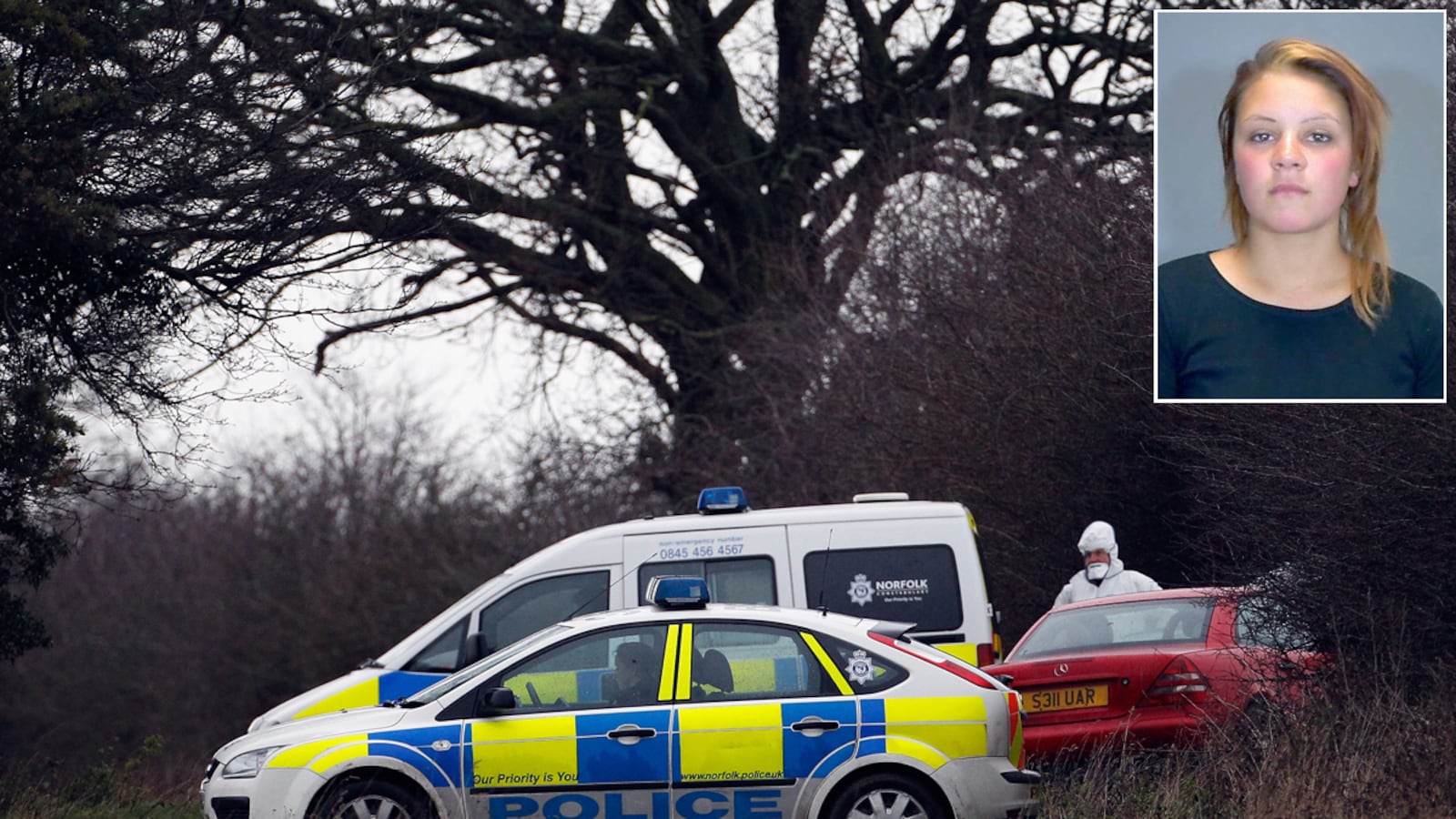 articles/2012/01/09/body-at-queen-s-sandringham-estate-identified-as-alisa-dmitrijeva/sandringham-vicitm-update-edwardes_k6qwws