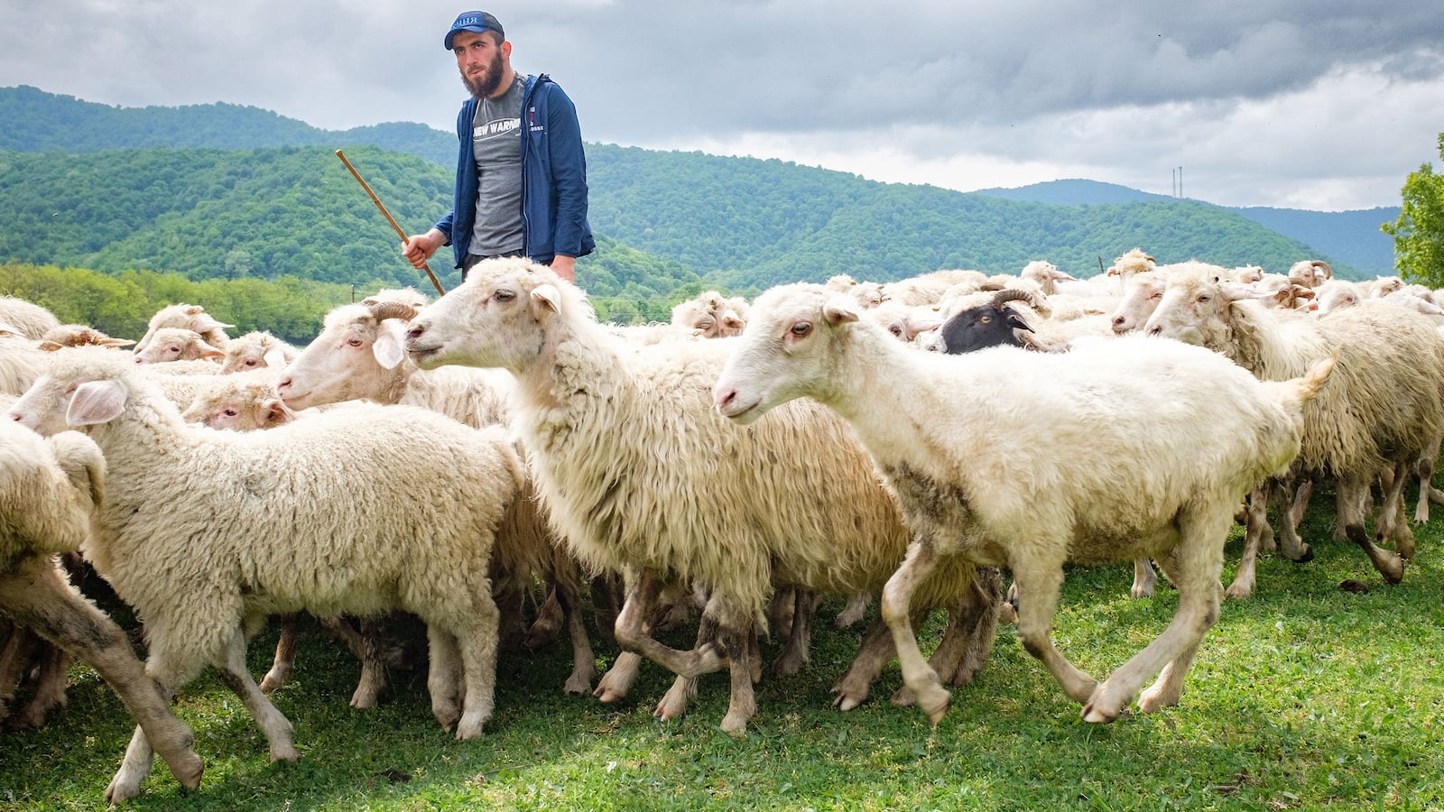 230411-pankisi-hero_ahs8wf