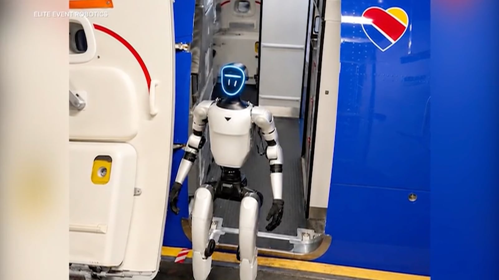 Bebop standing in the door of a Southwest plane.