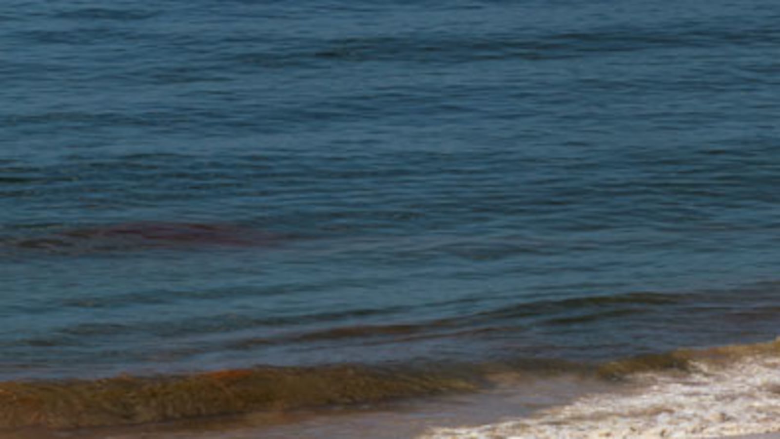 cheats/2010/07/16/gulf-oil-spill-well-stays-capped-for-second-day/a-day-without-spill_kgyjea