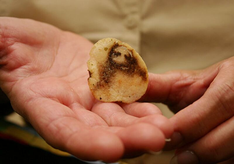 galleries/2009/11/30/father-son-and-the-holy-toast/religious-sightings-10_66174_x1zgj2