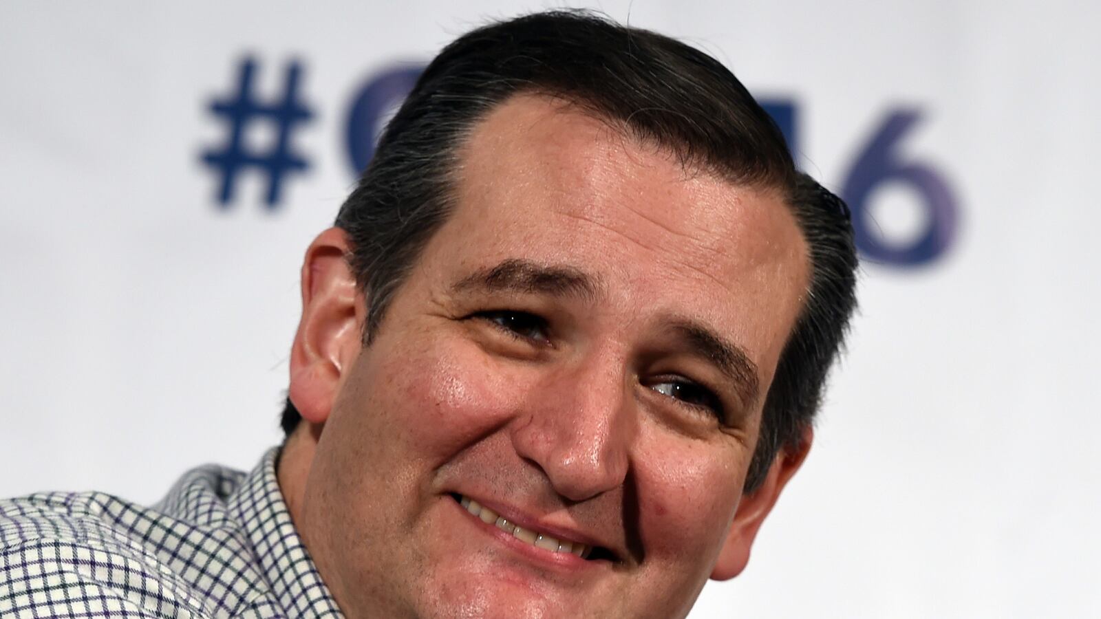 articles/2016/01/15/please-someone-sue-ted-cruz-and-hurry/160115-greenfield-cruz-tease_xukasj