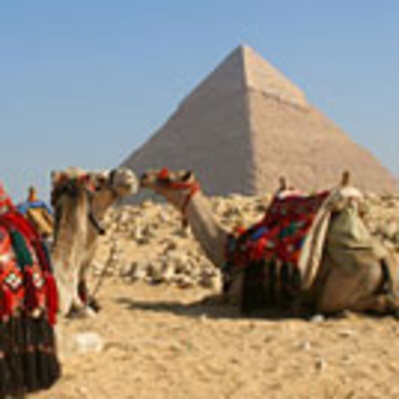 articles/2008/10/22/hollywood-brokers-mideast-peace/waxman-egypt_1900_sqxrgc