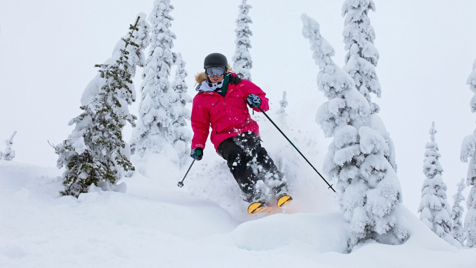 GettyImages-185645288_jfq1rd