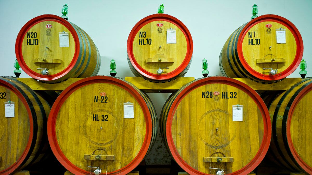 articles/2012/12/08/vendetta-in-the-vineyard-cult-brunello-producer-loses-all-his-wine/nadeau-vendetta-vineyard-tease-embed_xldp7a