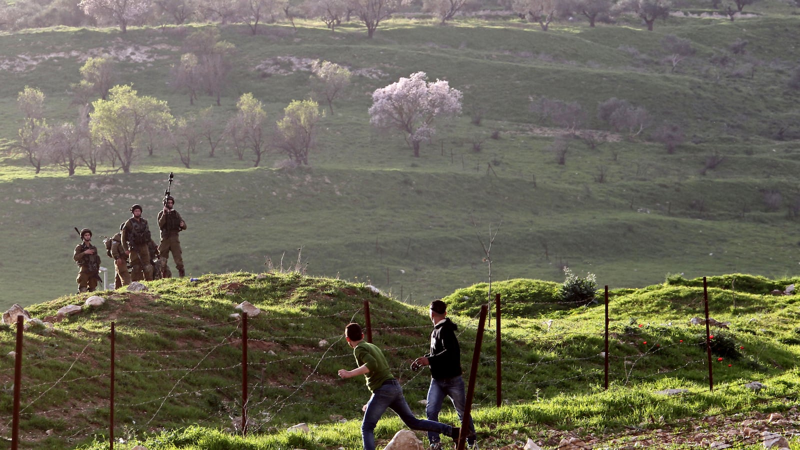 articles/2013/02/26/israeli-tactics-and-the-birth-of-an-intifada/stones-blossoms-openz_zqksaq