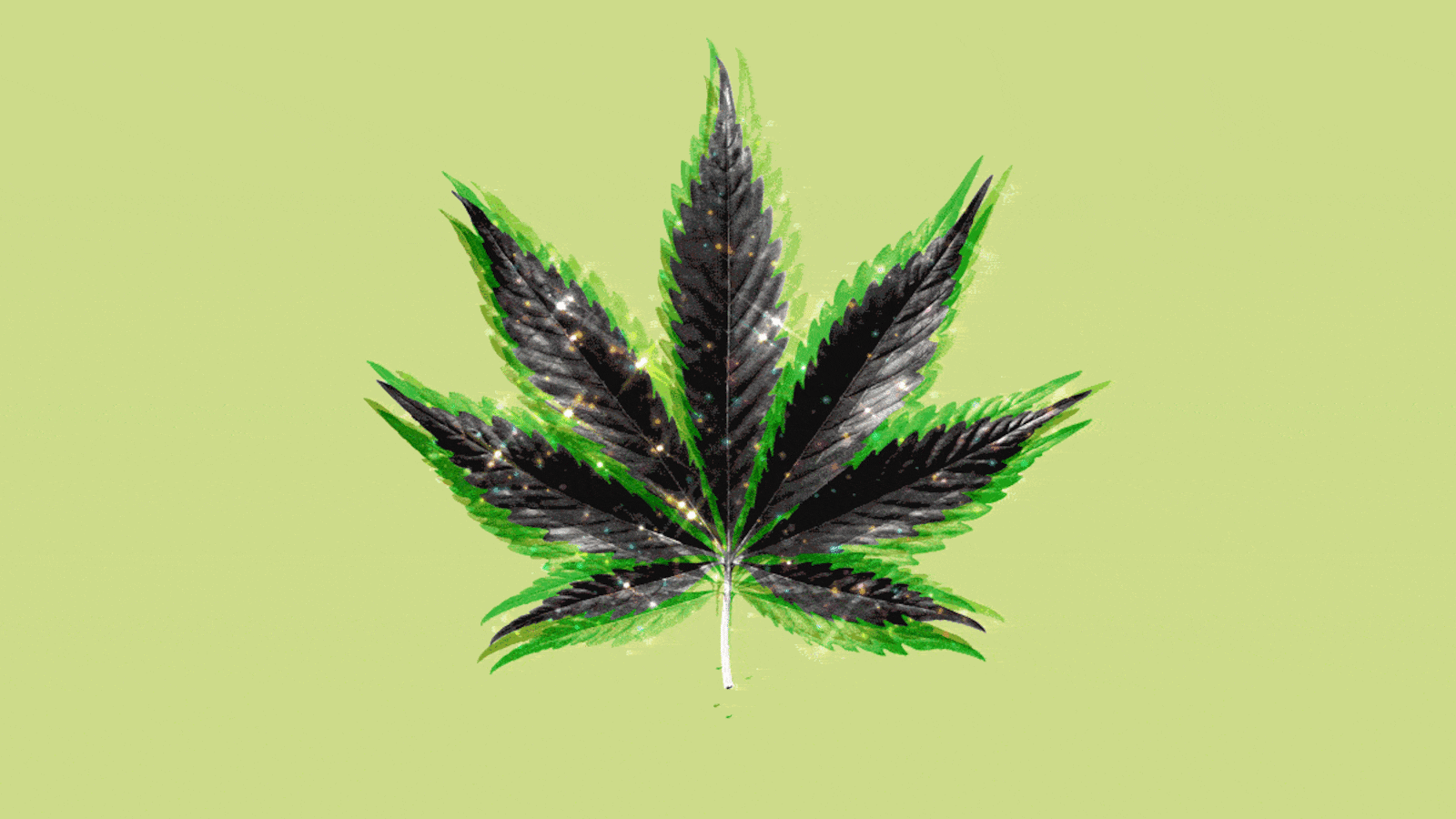 Illustration of a twinkling sparkling marijuana leaf
