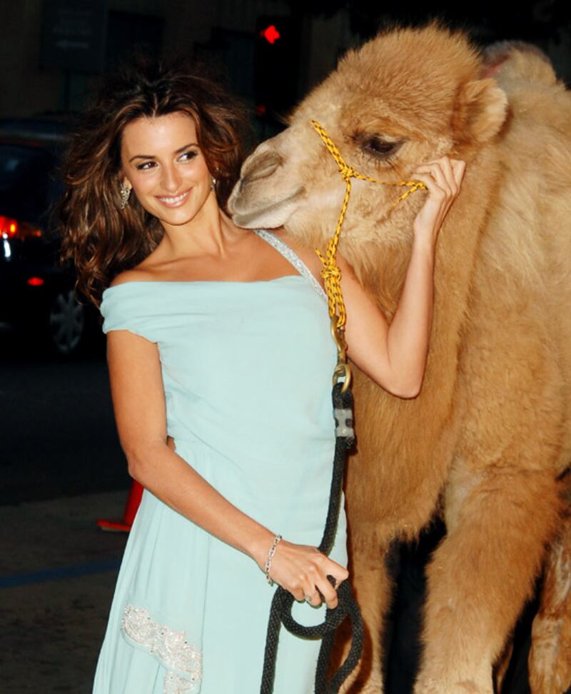 galleries/2011/05/20/animal-red-carpet/animal-red-carpet---penelope-cruz_puxplm