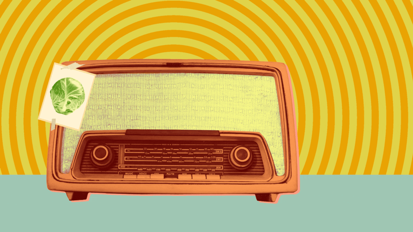 180121-lewis-mae-brussell-hero_d3nckn