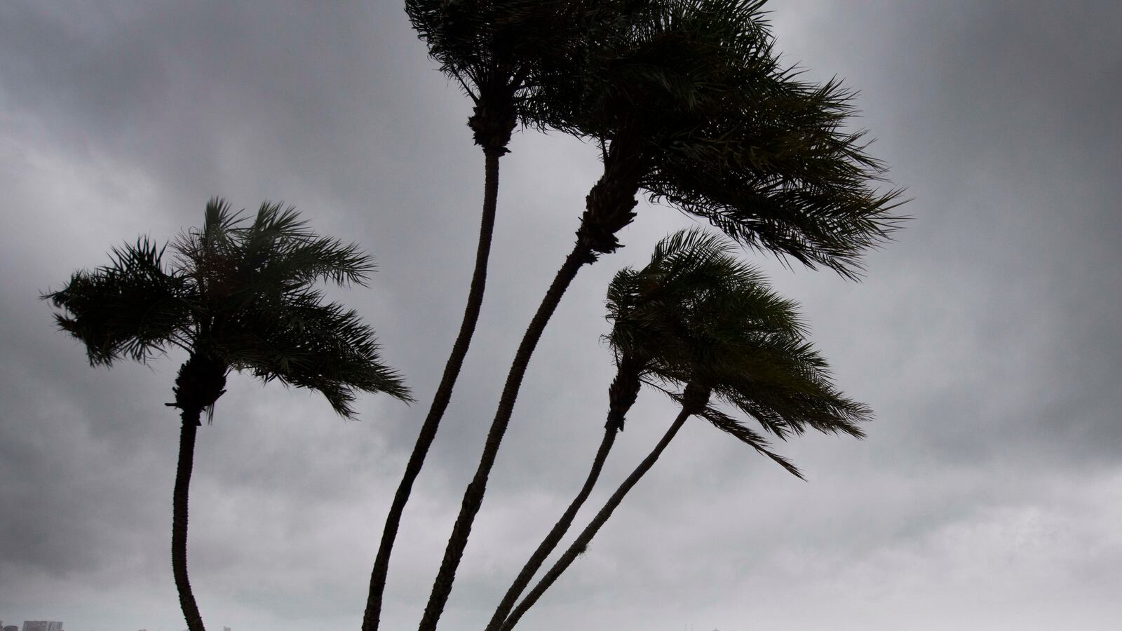 GettyImages-845282724_gdvfem