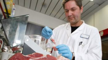 cheats/2011/04/15/study-half-of-us-meat-infected/beef-bacteria_u2rkh3