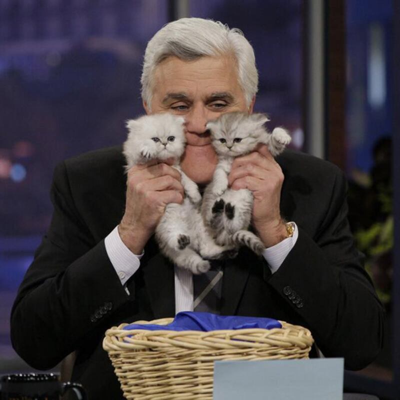 galleries/2014/02/02/meryl-streep-katy-perry-the-week-s-best-celebrity-selfies-photos/leno_cyllop