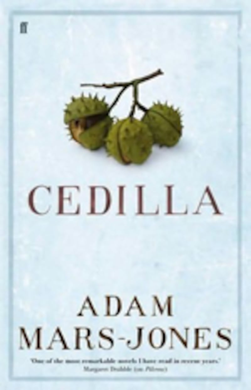 articles/2011/02/02/delusions-of-gender-adam-mars-jones-and-other-british-reads/book-cover---cedilla_qa7yig