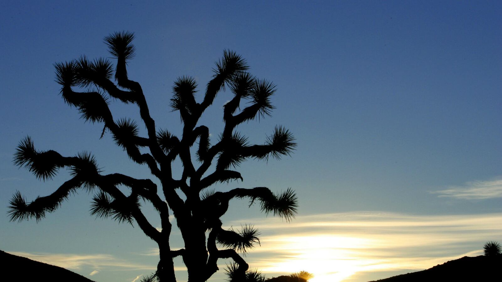 cheats/2016/02/12/obama-to-announce-3-new-calif-monuments/160212-obama-new-national-monuments-cheat_ywngrw