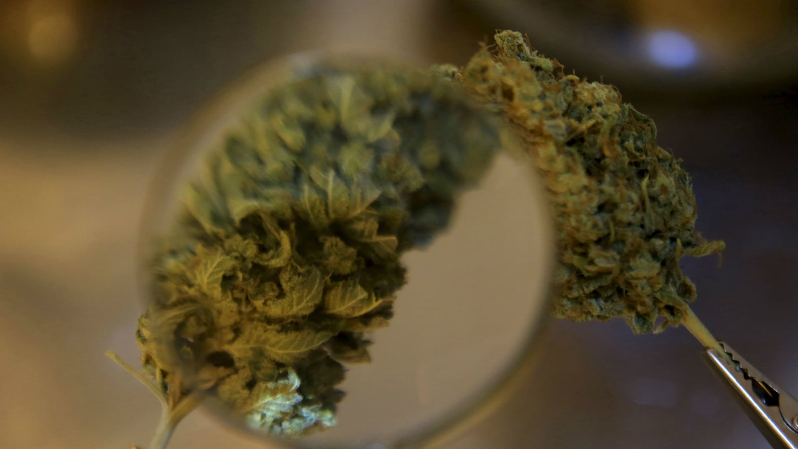 cheats/2016/05/10/ohio-house-approves-legal-weed/041816-pennsylvania-legalizes-medical-weed-cheat_whdapb