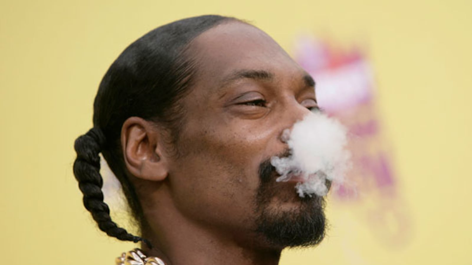 cheats/2012/01/09/snoop-dogg-arrested-with-marijuana/celewho-smoke-pot---snoop-dogg_bthqua