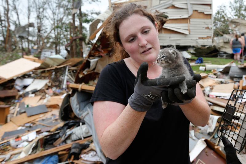 articles/2013/05/23/the-twister-stole-my-pet-how-cats-dogs-and-a-donkey-survived-oklahoma/130522-pelisek-animals-tease_rmjl0k