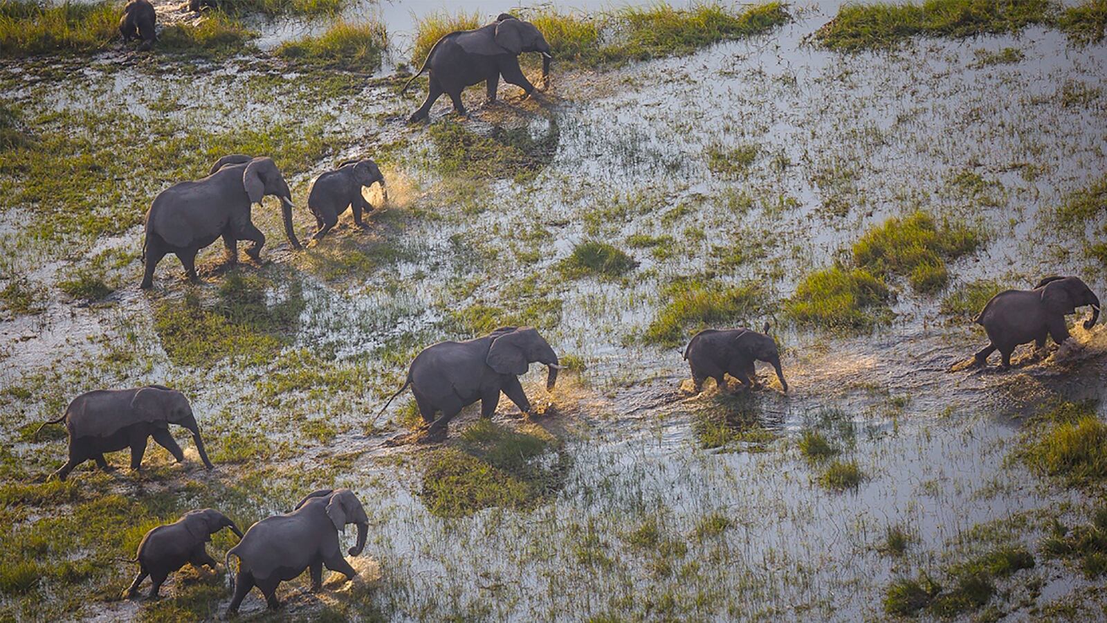 181214-fallon-into-the-okavango-hero_emnsun