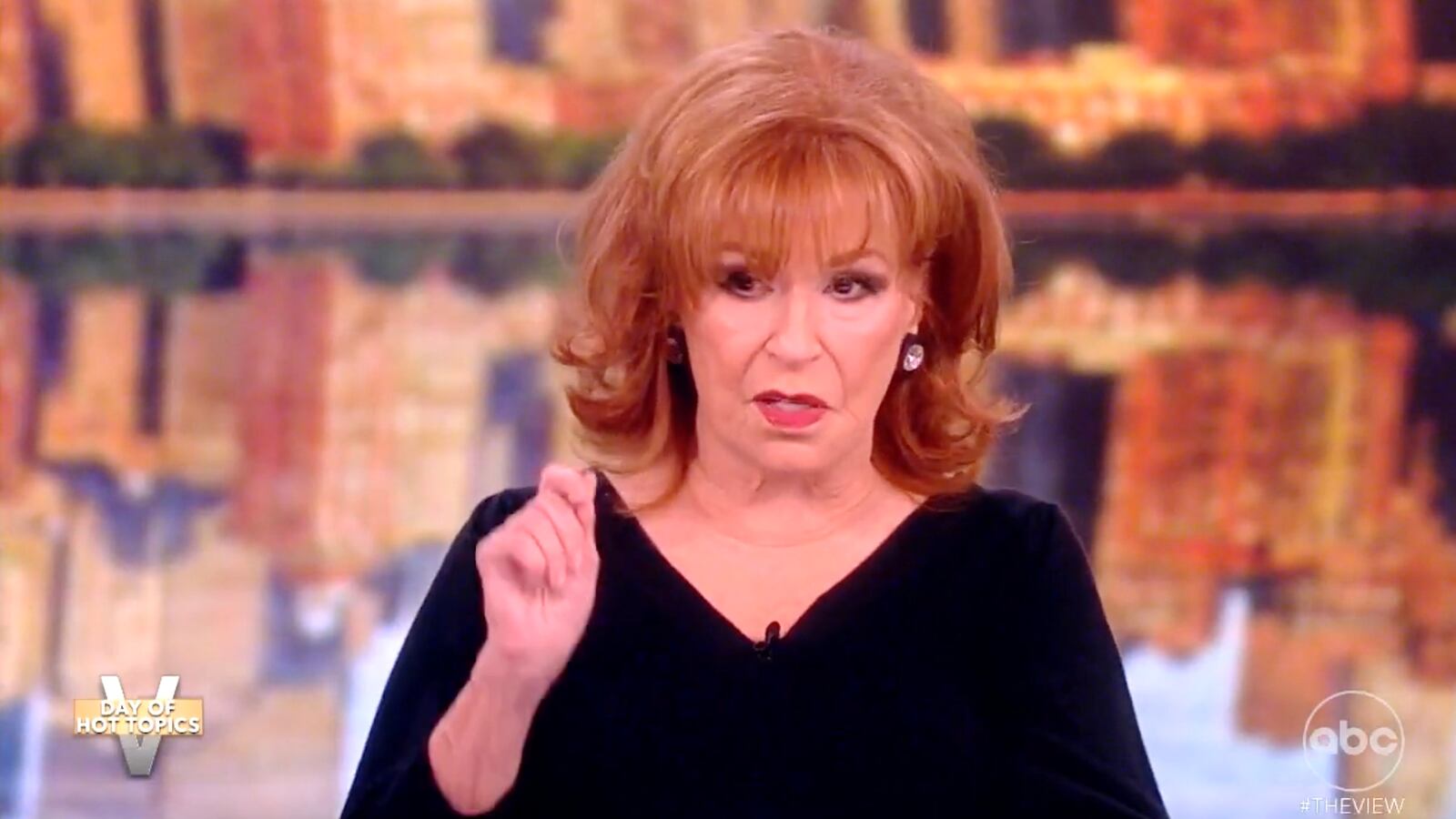 Joy Behar on The View