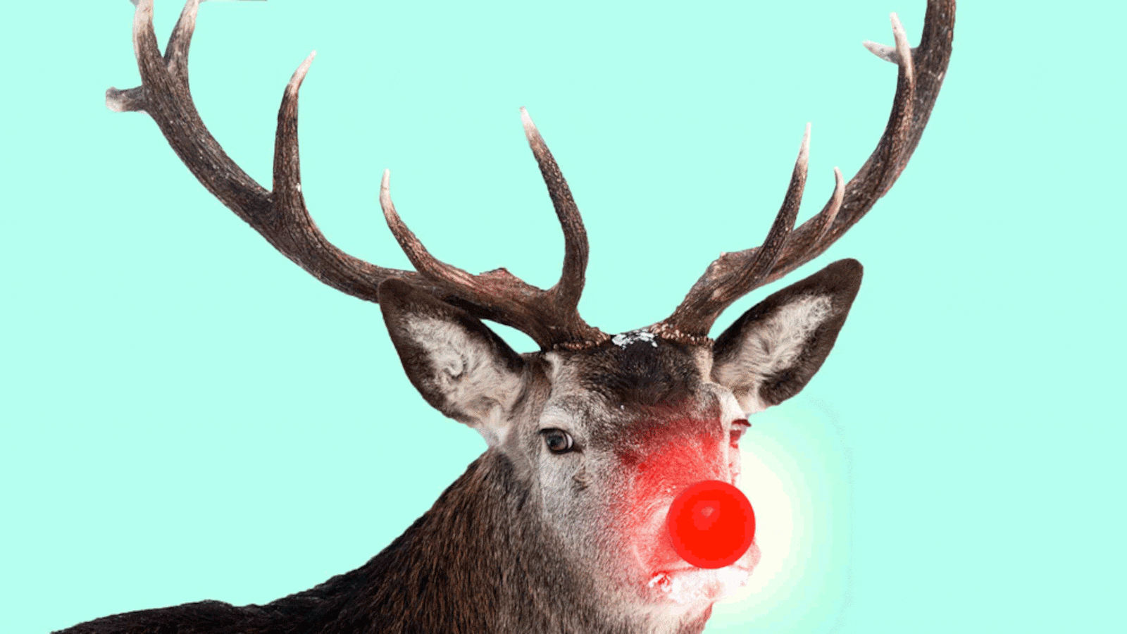 171222-troy-rudolph-tease_jdcphr