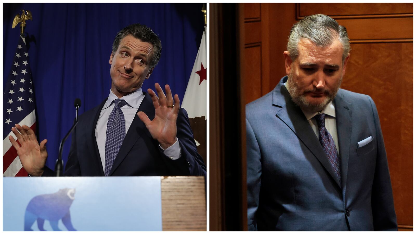 Gavin Newsom and Ted Cruz