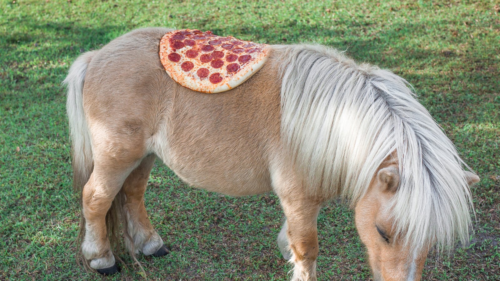 galleries/2014/03/15/pizza-in-the-wild-jonpaul-douglass-photographs-our-favorite-food-in-nature/140314-wild-pizza-tease_co6s6s