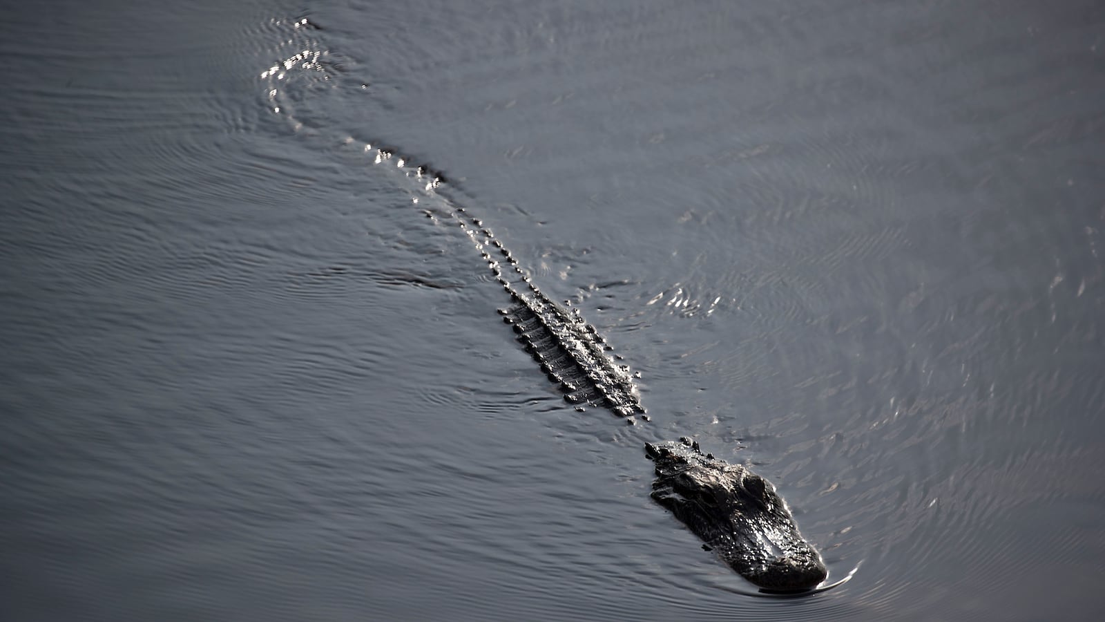 GettyImages-1149366432_cqkdpb