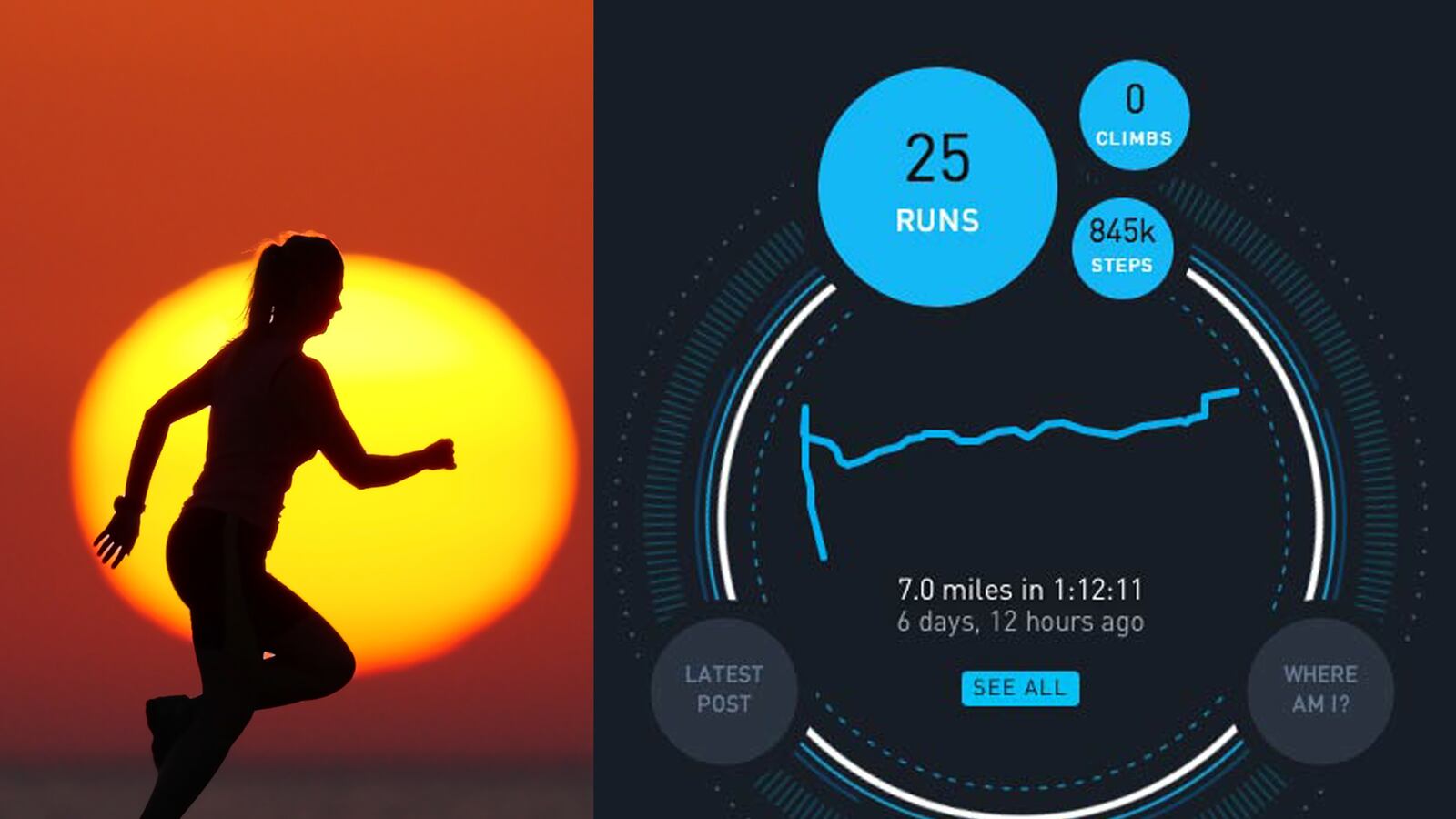 articles/2014/08/05/the-best-quantified-self-site-you-haven-t-heard-of/140804-rubin-aprilzero-tease_smymd6