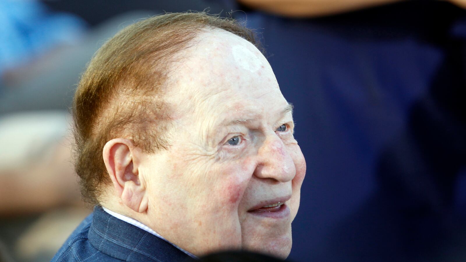 cheats/2013/02/26/gingrich-backer-sues-wsj/130226-adelson-lawsuit-wsj-cheat_mudsj1