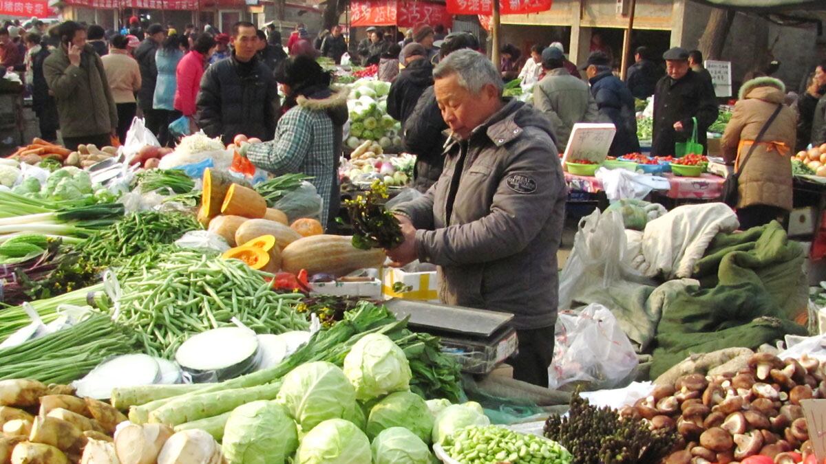 cheats/2012/04/01/yam-looks-like-a-foot/china-yam-foot-cheat_jenqne