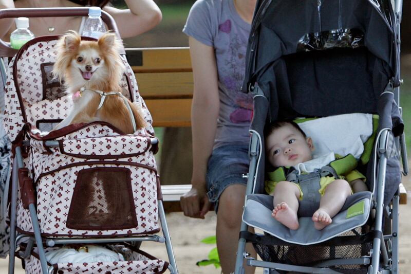 articles/2014/06/06/pope-francis-is-wrong-about-my-child-free-life/140605-marcotte-pope-tease_bonsio