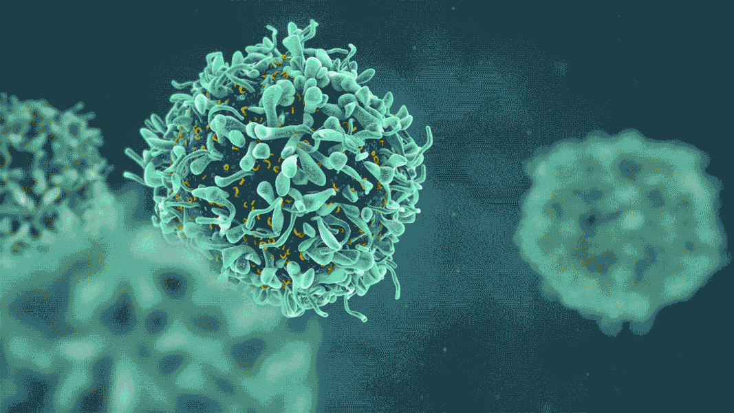 ezgif.com-resize__3_htrrry