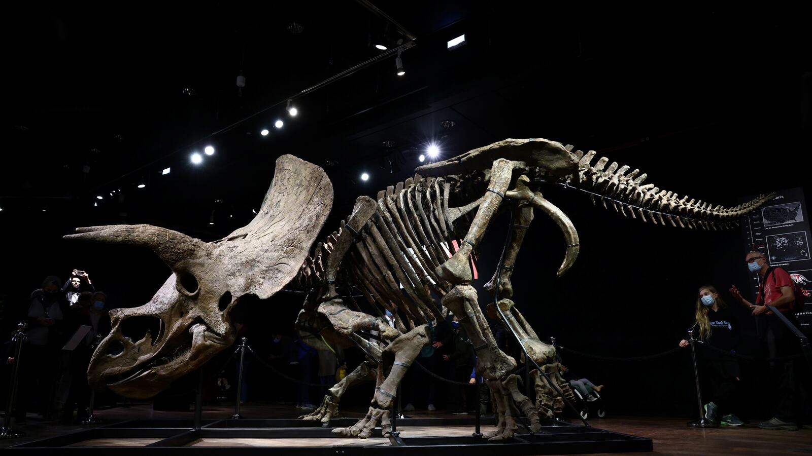 2021-10-20T153348Z_781874921_RC2PDQ9KUUMI_RTRMADP_3_ART-AUCTION-DINOSAUR_jvoouo