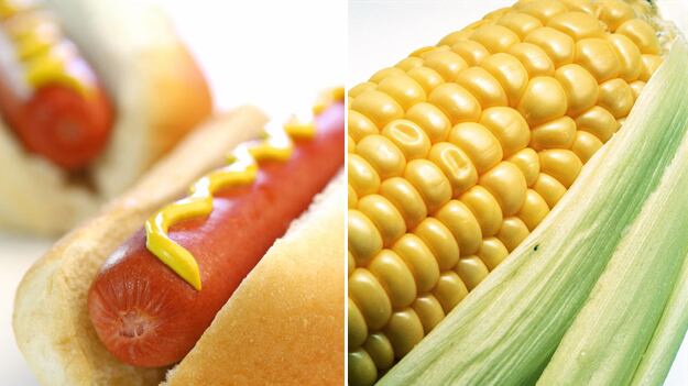 galleries/2011/05/28/shocking-picnic-calorie-equations/picnic-calorie-equations-5_mohkth